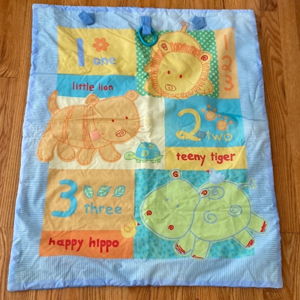 Like New Adorable Baby Activity Blanket